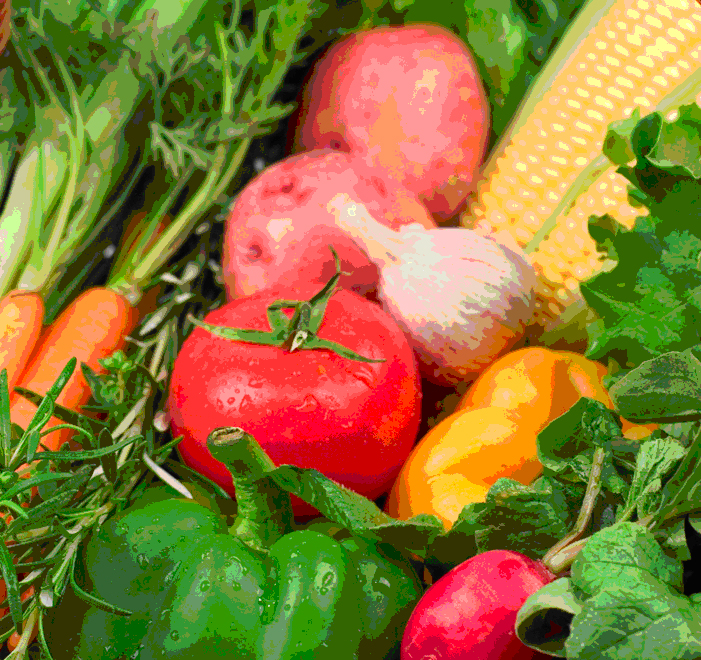 Legumes e verduras são fundamentais em uma receita saudável